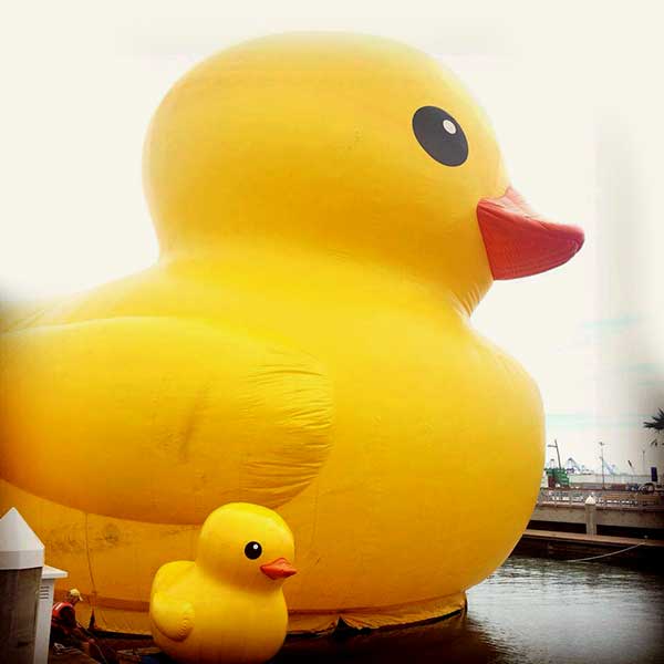 World's Largest Rubber Duck and Baby (photo courtesy of World's Largest Rubber Duck)