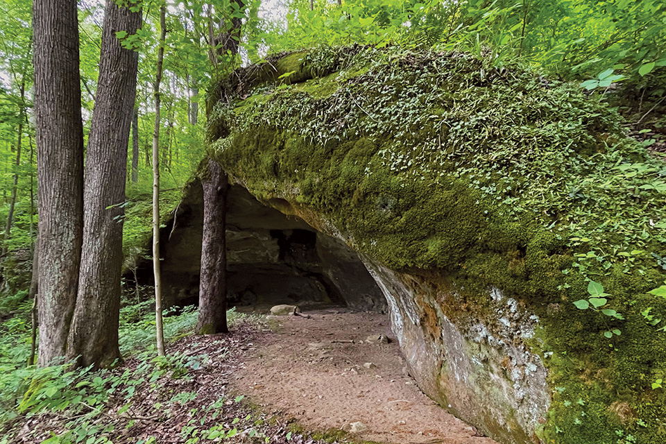 Joy Valley Nature Preserve in Athens County (photo by Terry Seidel)