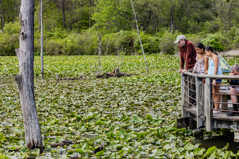 People at Beaver Marsh in Cuyahoga Valley National Park (photo by Laura Watilo Blake)