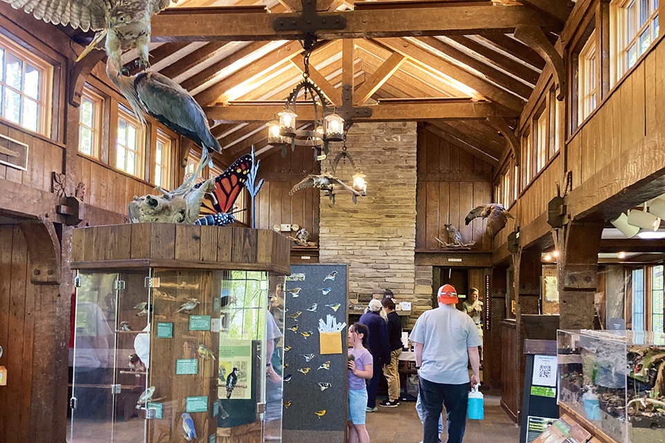 Interior of Brecksville Nature Center (photo by Rachael Jirousek)