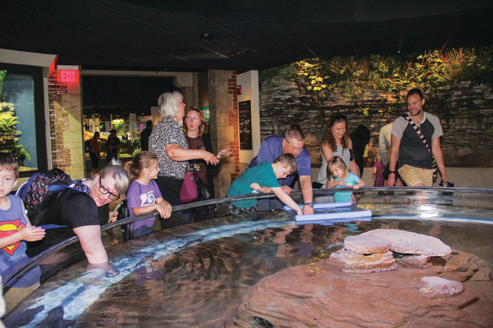 Families at sturgeon petting zoo at Toledo Zoo & Aquarium (photo courtesy of Toledo Zoo)