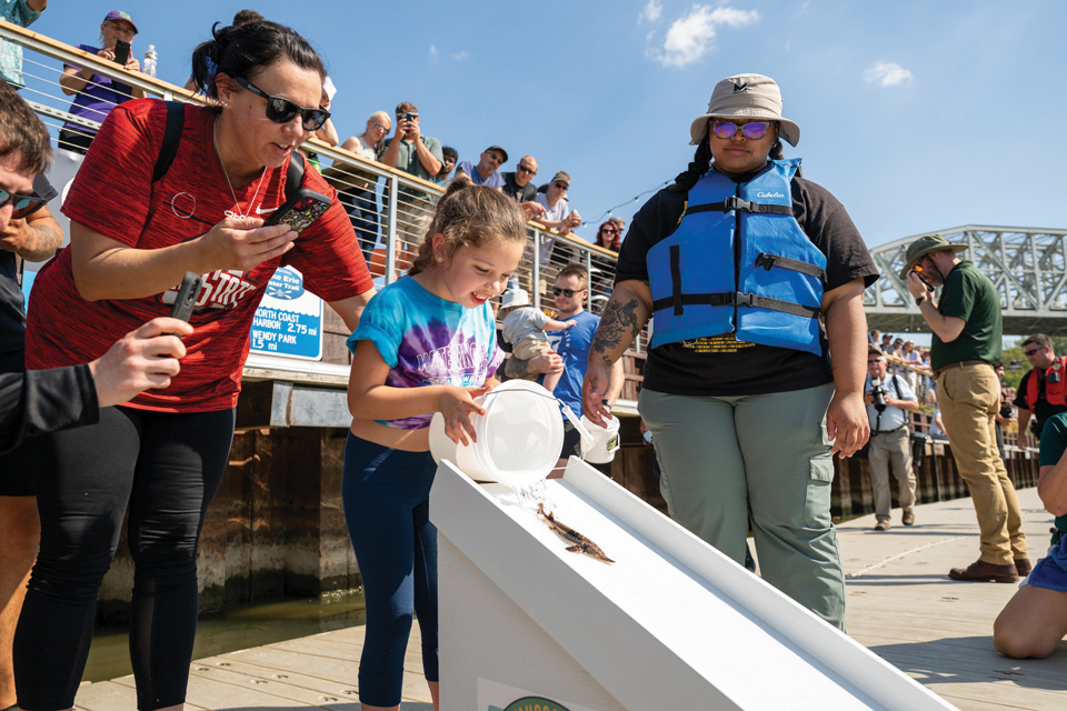Girl releasing sturgeon at event in downtown Cleveland (photo by Joseph Thompson / Cleveland Metroparks)