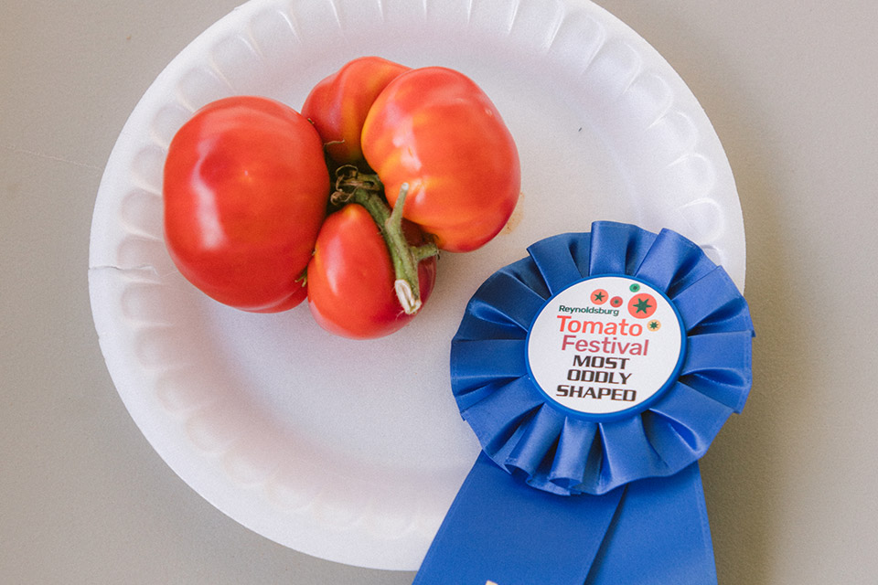 Winner of “most oddly shaped” tomato at Reynoldsburg Tomato Festival (photo courtesy of Reynoldsburg Tomato Festival)