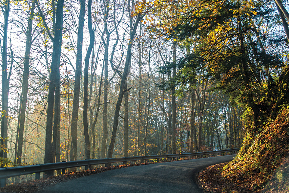 Forested road on the Hocking Hills Scenic Byway (photo courtsey of the Ohio Department of Transportation)