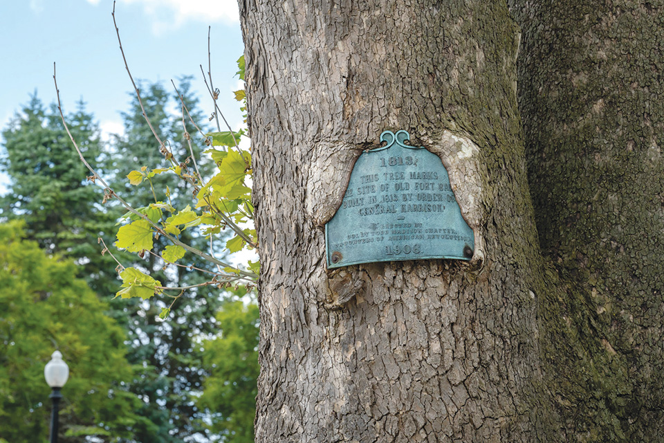 Fort Ball marker in tree in Tiffin (photo by Doug Hinebaugh)