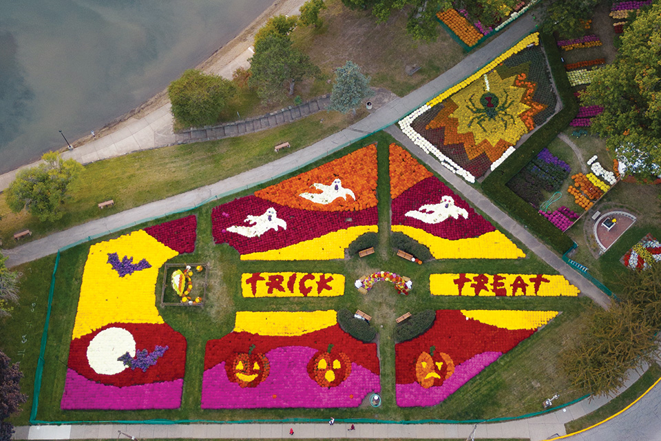 Aerial view of trick-or-treat mum display at Barberton Mum Festival (photo by Buckeye Drone)