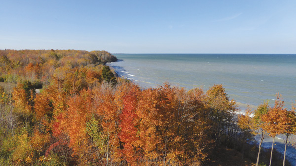 Fall color at Lake Erie Bluffs in Perry (photo by Doyt Cox)